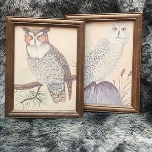 2 Vintage Framed Owl Art Prints